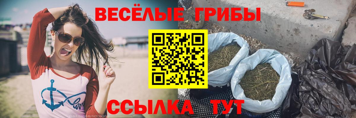 Галлюциногенные грибы GOLDEN TEACHER  Галлюциногенные грибы MAGIC MUSHROOMS  Тверь  Вход с VPN 