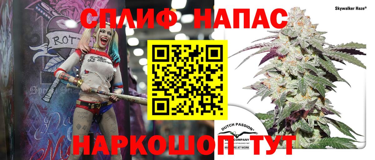 Марихуана сатива Тверь